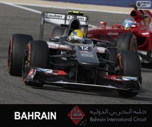 Puzzle Esteban Gutierrez - Sauber - 2013 Μπαχρέιν διεθνές κύκλωμα